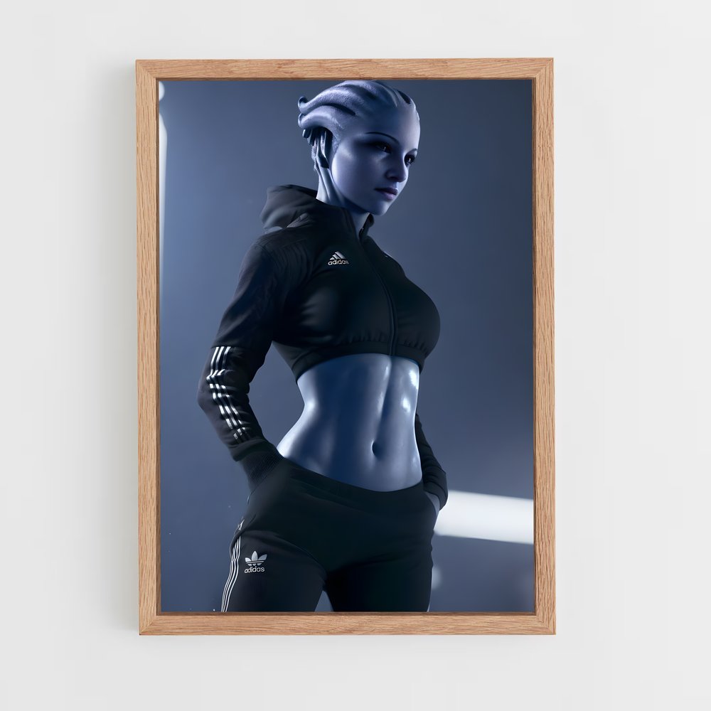 Poster Shephard's Shadow – affiche Mass effect (vue 4)